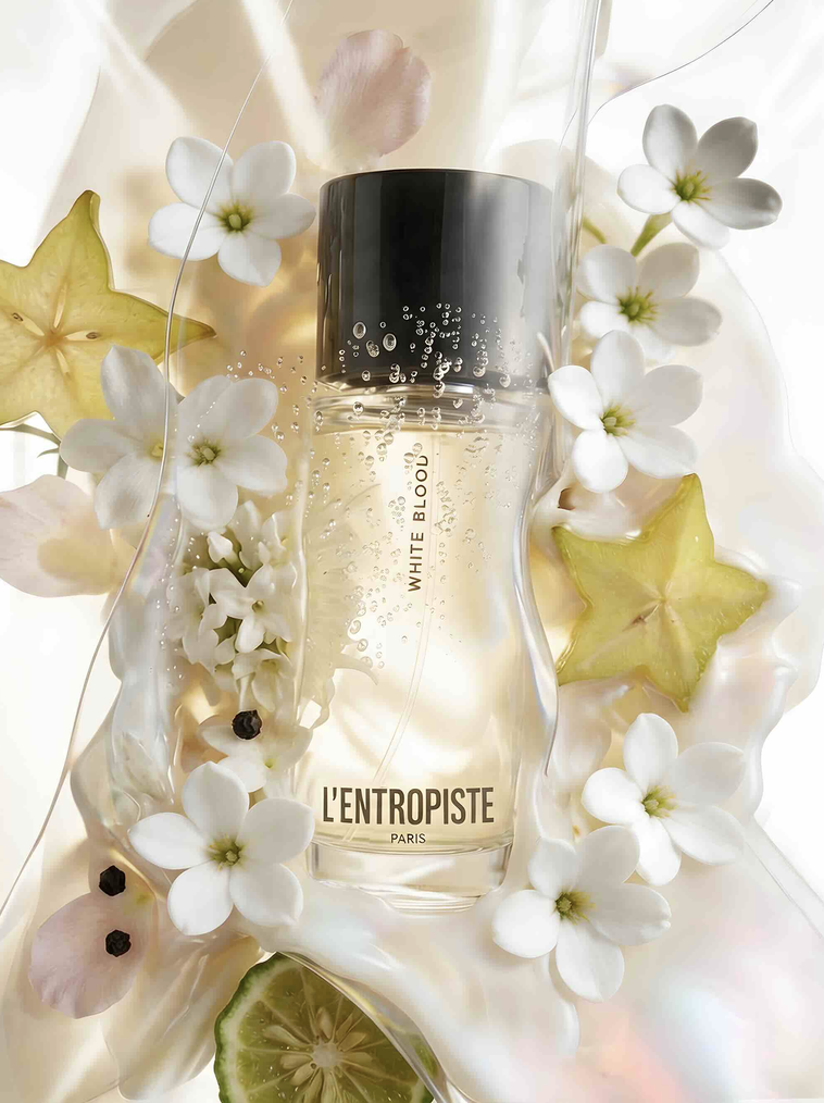 L'Entropiste